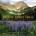 Pacific Crest Trail | Mark Larabee, Barney Mann, Cheryl Strayed