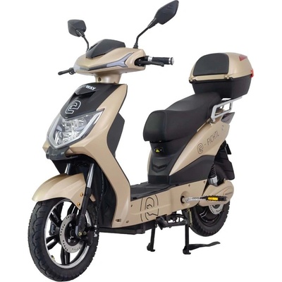 Racceway E-Fichtl 250W 12Ah zlatá – Zboží Mobilmania