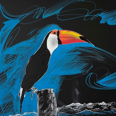 Luka Brase – Tucan from Ands, 2024, 50x50cm