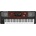 Korg PA700