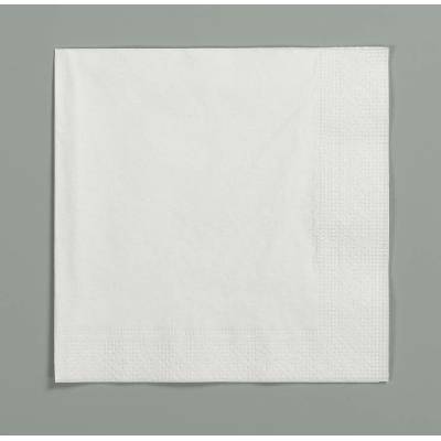 Gastro Ubrousky bílé 2-vrstvé skládání 1/4 250ks 33x32cm