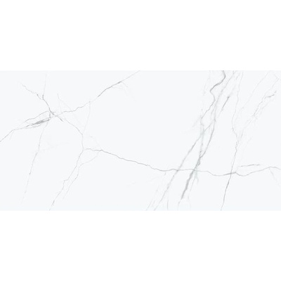 EBS Acquilea 60 x 120 cm grigio lesklé 1,44m²
