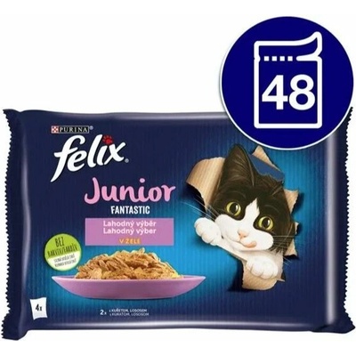 Felix Fantastic Junior kura losos v želé 48 x 85 g