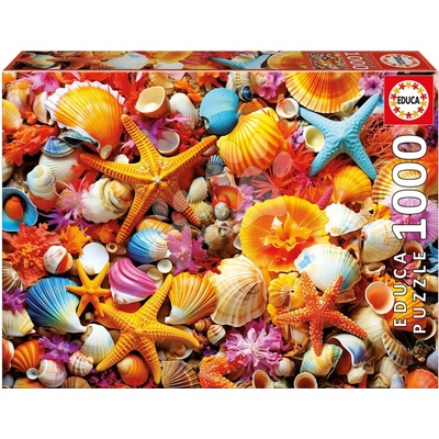 Educa Collage of Shells a Fix lepidlo 1000 dielov