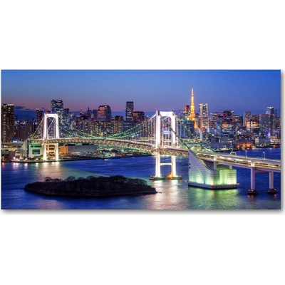 Foto obraz sklo tvrzené Most v Tokio 100x50 cm
