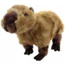KAPYBARA KAPYBARA