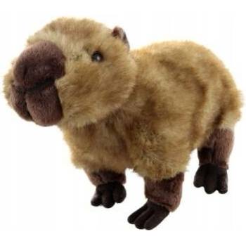 KAPYBARA KAPYBARA