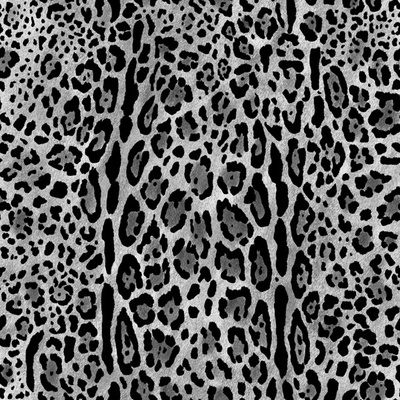 Takoy Látka softshell zimní - leopard šedý se šedým fleecem