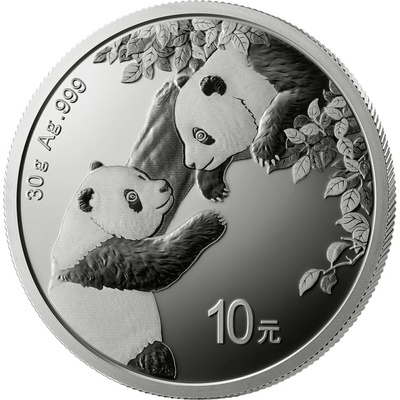 China Mint Strieborná minca Panda 30g