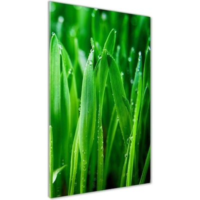 Vertikálny fotoobraz na skle Steblo trávy 50x100 cm