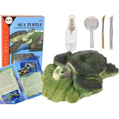 Mamido Edukačná Sada Preskúmanie Amonitov Korytnačky