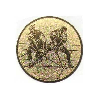 TROFEJE.sk Emblém 25mm 105 florbal