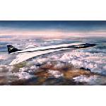 Airfix Пътнически самолет Concorde Prototype (BOAC) 1/144 (A05170V)