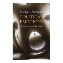 Political Emotions