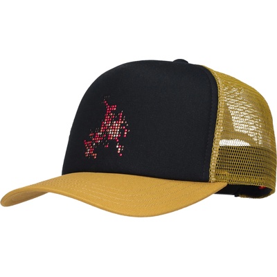 Vans Skate flame trucker uni