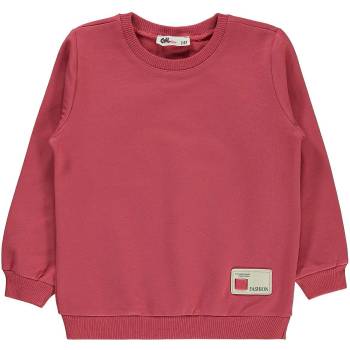 Civil Kids Coral Girl Sweatshirt 2-3y. 3-4y. 4-5y. 5-6y. 4 Pieces (19330F698K31-MRC)