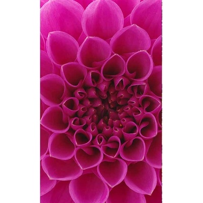 Dimex MS-2-0132 vliesová fototapeta rozměry 150 x 250 cm