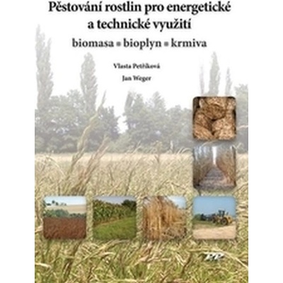 Pěstování rostlin pro energetické a technické využití