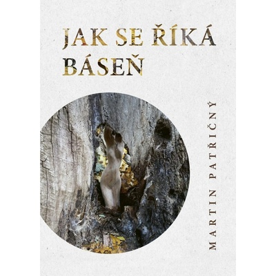 Jak se říká báseň - Martin Patřičný