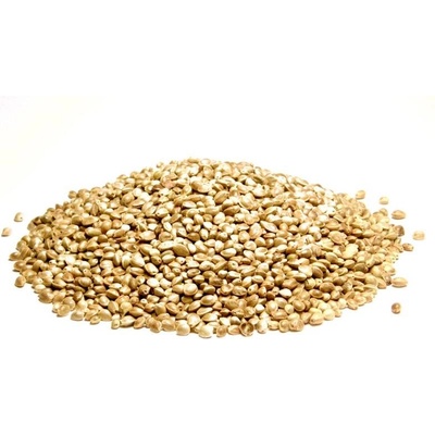 Bylík konopné semínko neloupané 750 g