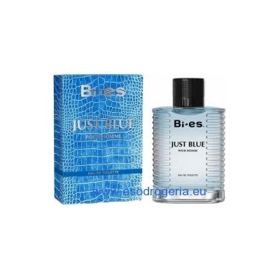 BI-ES Just Blue toaletná voda pánska 100 ml