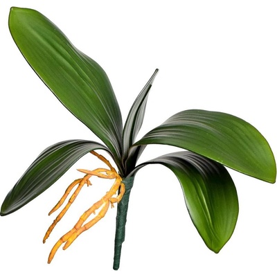 ZÁPICH LIST ORCHIDEA 27CM