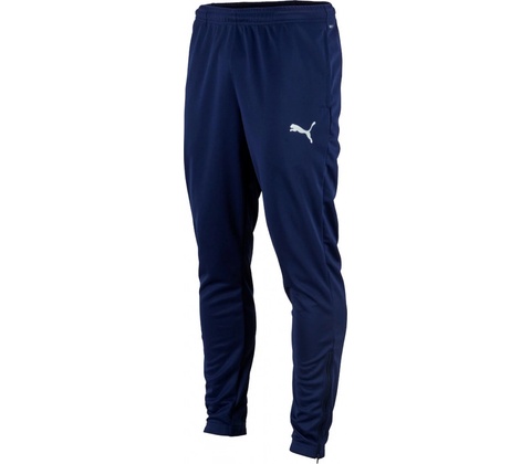 Puma teamRise Poly Training