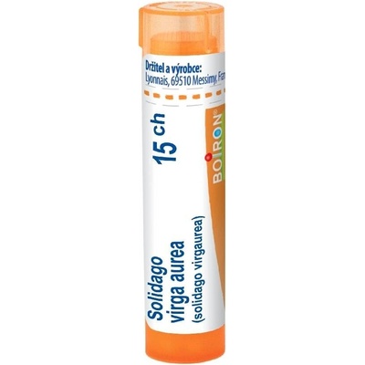 SOLIDAGO VIRGA AUREA POR 15CH GRA 4G