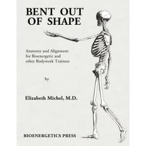 Bent Out of Shape | Elizabeth Michel (ISBN: 9780615292090)