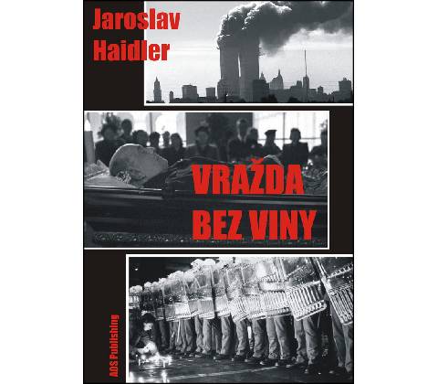Vražda bez viny