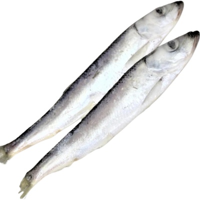 Masožravci Sleď 1 kg