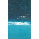 VSI Barthes - J. Culler