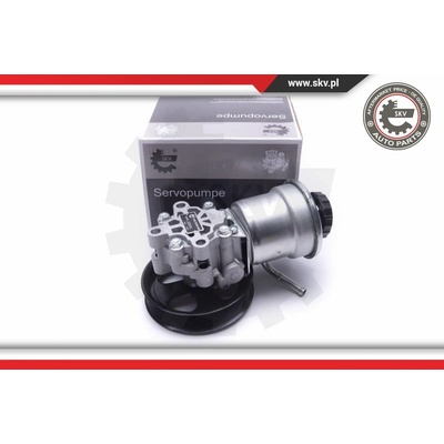 Hydraulické čerpadlo pre riadenie ESEN SKV 10SKV311