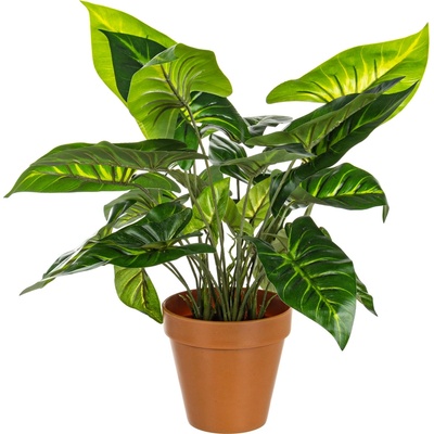 Bizzotto ИЗКУСТВЕНО РАСТЕНИЕ caladio 45cm ЗЕЛЕНО (0172394)