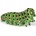 Papo Фигурка Papo Wild Animal Kingdom - Гъсеница (50266)
