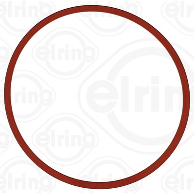 ELRING Těsnění, koleno sacího potrubí 895440