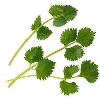 VÉritable (Франция) Пълнител (лингот) Green Anise за настолна градина Véritable® - зелен анасон (VLIN-O10-Ani045)