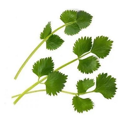 VÉritable (Франция) Пълнител (лингот) Green Anise за настолна градина Véritable® - зелен анасон (VLIN-O10-Ani045)