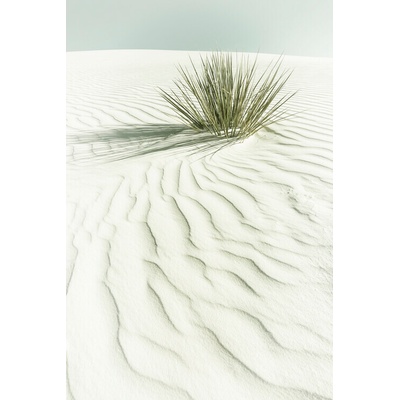 Plagát, Obraz - WHITE SANDS Vintage scenery, Melanie Viola, 26.7 × 40 cm