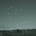 Arborist - A Northern View CD