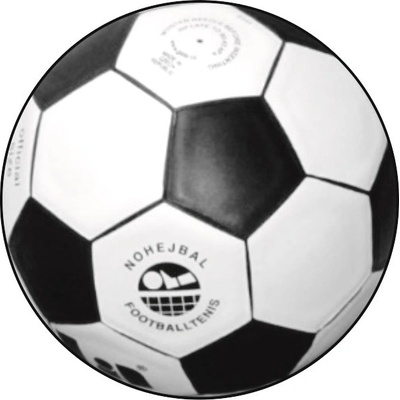 VIZINGR Nohejbal MINI logo L1č.224