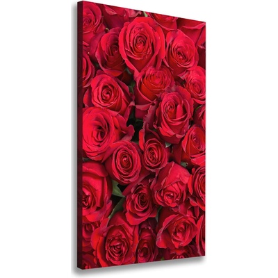 Vertikálny foto-obraz canvas do obývačky Červené ruže 50x100 cm