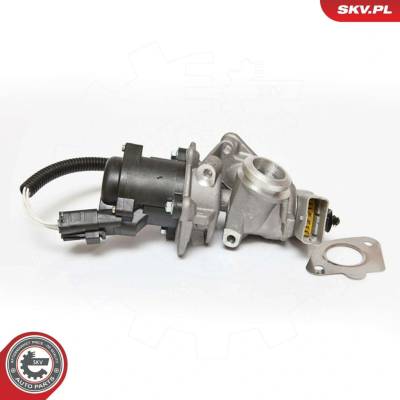 AGR-Ventil ESEN SKV 14SKV067