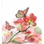 DIMEX ART Флизелинов фототапет пеперуди и орхидеи 225 x 250 см