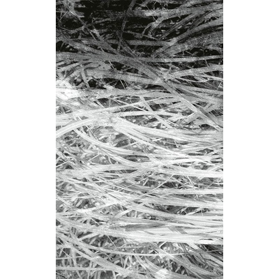 Dimex MS-2-0382 vliesová fototapeta na zeď Abstrakt seno 2 rozměry 150 x 250 cm