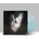 BARRETT, NESSA - YOUNG FOREVER LP