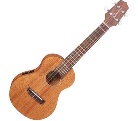 Takamine EGU-C1