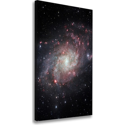 Vertikálny foto obraz na plátne do obývačky Hmlovina 50x100 cm