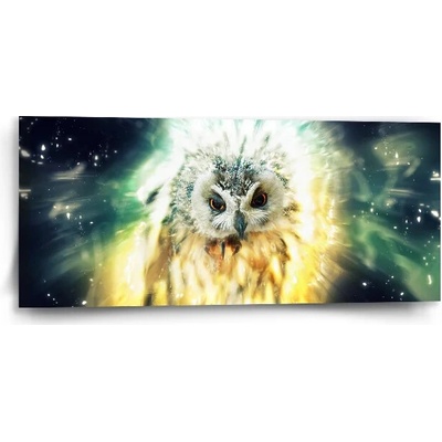 Sablio Obraz Sova - 110x50 cm