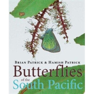 Butterflies of the South Pacific | Brian Patrick (ISBN: 9781877578045)
